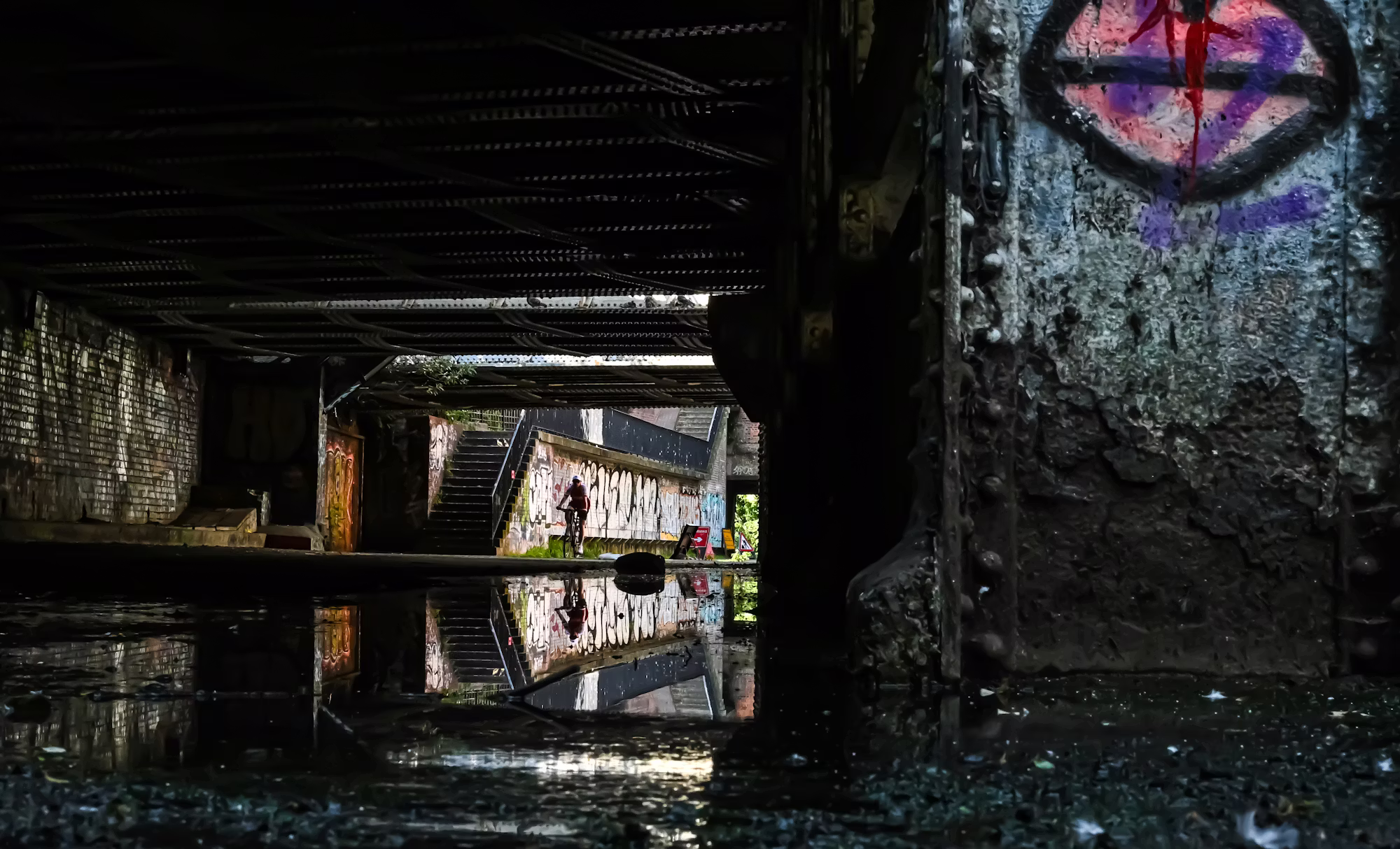 Cycling for All: Embracing the Joys of Biking